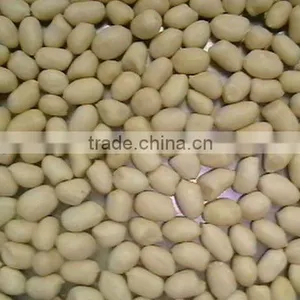 Round Blanched Peanut Kernels 2 *12.5kgs Vaccum Bag/carton thumbnail-1