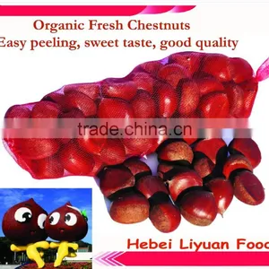 2015 New Bulk Dried Chestnuts for Sale thumbnail-1
