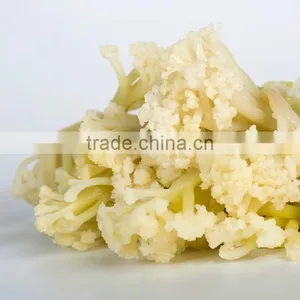 New 2015 Dried Broccoli Best Selling Products in Philippines thumbnail-4