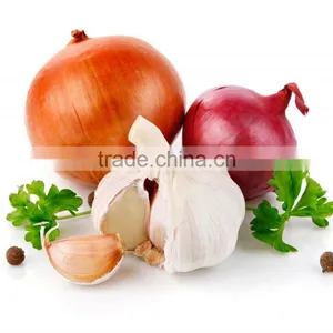 Central Kitchen Garlic Shallot Slicer Slicing Cutting Machine thumbnail-4