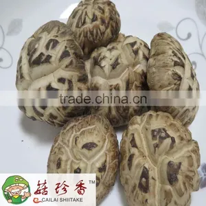 Dried White Flower Shiitake Mushroom With Packing 15kg per Bag thumbnail-1