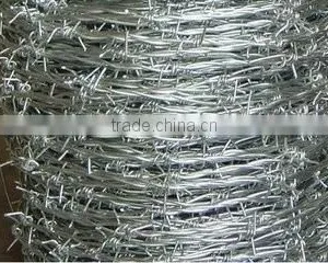 Hot Dipped Galvanized Barbed Wire Price per Roll Barbed Wire Fence Design thumbnail-2