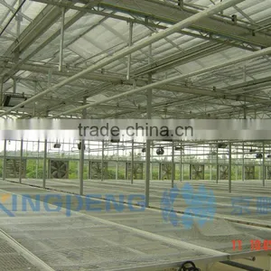 Venlo Type Glass Greenhouse thumbnail-2