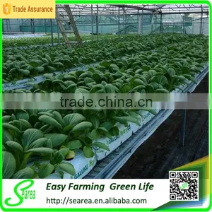 Rock Wool Cube for Greenhouse Hydroponic thumbnail-2