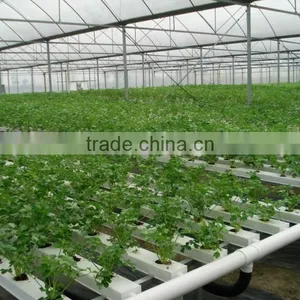 Multi-span Hydroponic China Greenhouses thumbnail-4