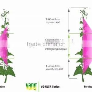 75w Grow Lamps for Greenhouse Commercial Palnts thumbnail-4