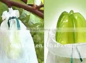 Nonwoven Fabric for Fruit Cover thumbnail-1