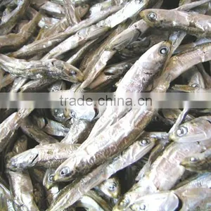 Organic Dog Food Air Dried Fish Dry Cat Food thumbnail-1