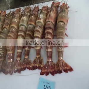 HOSO Sea Tiger Shrimps thumbnail-1