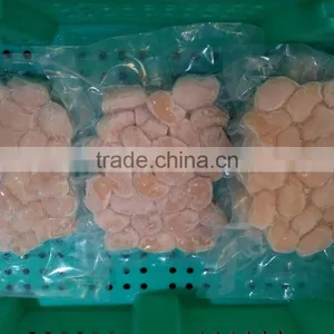 Frozen Seafood and Fresh Scallop Shell Atrina Pectinata thumbnail-1