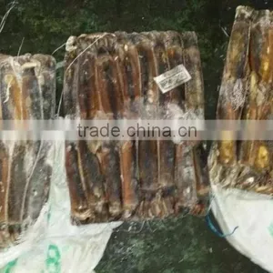 Frozen Illex Squid From CHINA 200-300G thumbnail-4