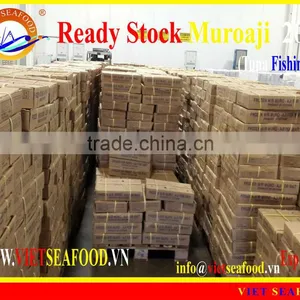 READY STOCK FOR SUPPLY MUROAJI FOR TUNA BAIT thumbnail-1