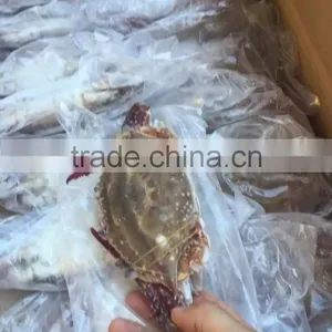 Frozen Blue Swimming Crab thumbnail-1