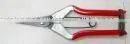 Pointed Blade Fruit Pruner thumbnail-1