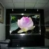 Telescopic Type Variable Auspicious Screen thumbnail-1