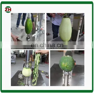 Industal Fruit Peeler Watermelon Peeling Machine Grapefruit Peeling Machine thumbnail-7