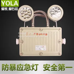 Hot Sale Waterproof Emergency Lamp LED Explosion-proof Light Outdoor Lighting thumbnail-5