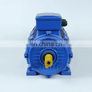 China Big Factory Good Price MS Aluminum Body Three Phase ac Motor thumbnail-4
