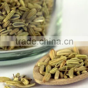 Fennel Seed thumbnail-1