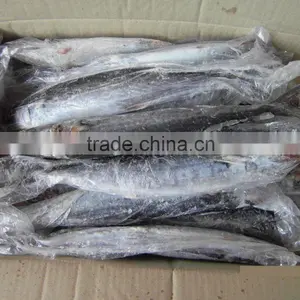 Frozen Seafood Mackerel thumbnail-1