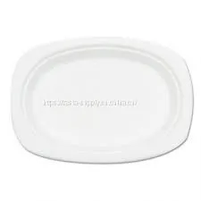 Eco Friendly Dishware 9 Bagasse Plate Oval 9 Inch Plates Sugarcane Bagasse Pulp thumbnail-1
