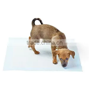 Puppy Wee Wee Pad Training Security Dog Training Dog Training Devices thumbnail-1