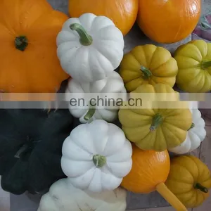 VIETNAM IQF VEGETABLES UNPEELED FROZEN PUMPKIN, FROZEN DICED PUMPKIN thumbnail-2