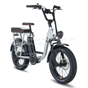 1000W Big Power Electric Folding Bike Electric Bicycles thumbnail-1