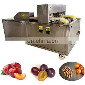 Apple Coring Machine Apple Nucleation Machine thumbnail-2