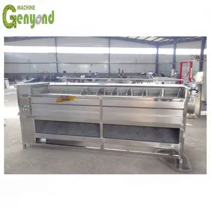Popular Brush Roller Washing Peeling Machine for Potato/Sweet Potato/Carrot/Taro/Kiwi Fruit thumbnail-2