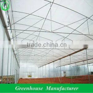 Diy Greenhouse With Large Vents thumbnail-1