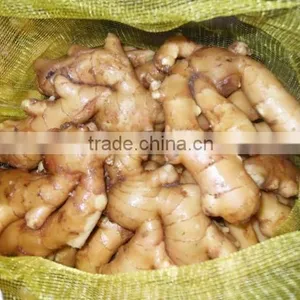 2016 Chinese Fresh Ginger Wet Dry Half Dry Skin Super Quality thumbnail-3