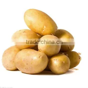 Potato Supplier thumbnail-1