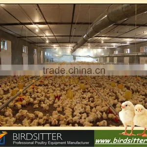 Birdsitter Chicken Farming Automatic Poultry Equipment Suppliers thumbnail-3