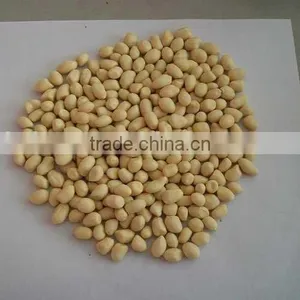 Round Type Blanched Peanut Kernel thumbnail-1