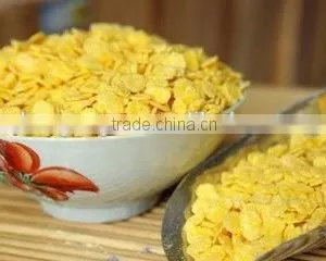 Breakfast Cereals/Corn Flakes Processing Line thumbnail-6