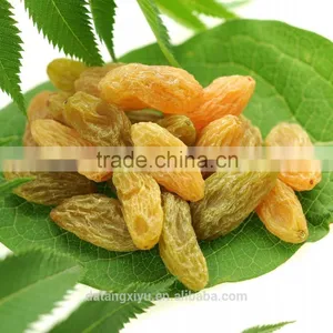 Xinjiang Dried Raisins Hami King Raisin Dried Grapes Factory Supply Dried Fruits thumbnail-5