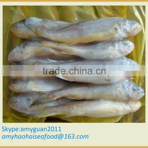 Frozen Yellow Croaker Fish Size 400/500 thumbnail-1