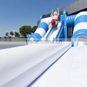 Color Customized Inflatable Water or Dry Slide / Special Design Inflatable Slide for Summer thumbnail-6