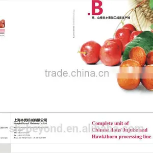 Jujube(Dates) Fruit Juice Processing Line thumbnail-1