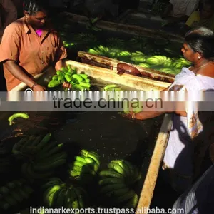 Fresh Cavendish Banana thumbnail-4