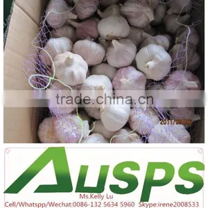 China Natural 5cm Garlic thumbnail-3