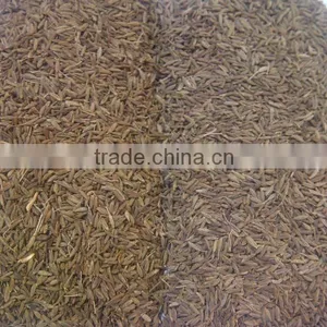 Cumin Seeds EU & Singapore Quality 99.11% Purity thumbnail-1