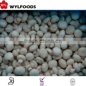IQF China Price for Frozen Champignons Whole 2015 High Quality thumbnail-3