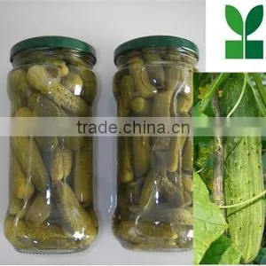2012 Donghemaoyuan Canned Pickled Cucumber in Vinegar thumbnail-1