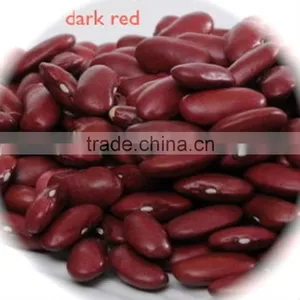 JSX Africa Red Kideny Beans Non-GMO Export British Red Kidney Bean thumbnail-2