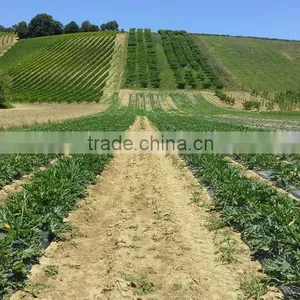 Nitrogen Fertilizer Ammonium Sulphate Crystal Granular thumbnail-5