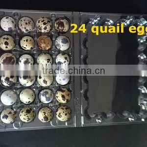 High Quality Disposable Quail Egg Tray 24 Holes thumbnail-3