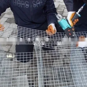 Hot Sale Mink Cages for Sale,gal Mink Weled Wire Mesh Cage,factory Direct Mink Cage thumbnail-3
