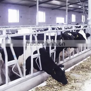 Hot Dip Galvanized Cow Fence With Best Quality thumbnail-4